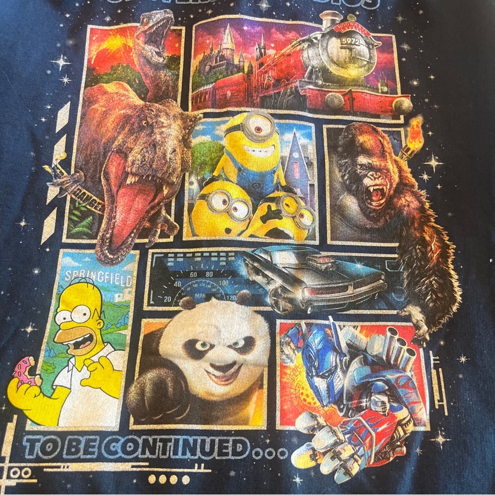 Universal Studios "Epic Adventures" Attractions Hoodie Jacket Youth/ Size Large - Picture 8 of 12